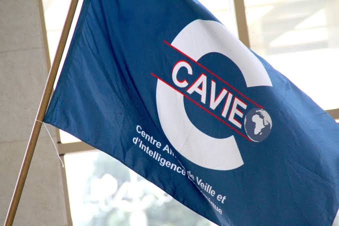 Logo du CAVIE — Centre africain de veille et d'intelligence économique